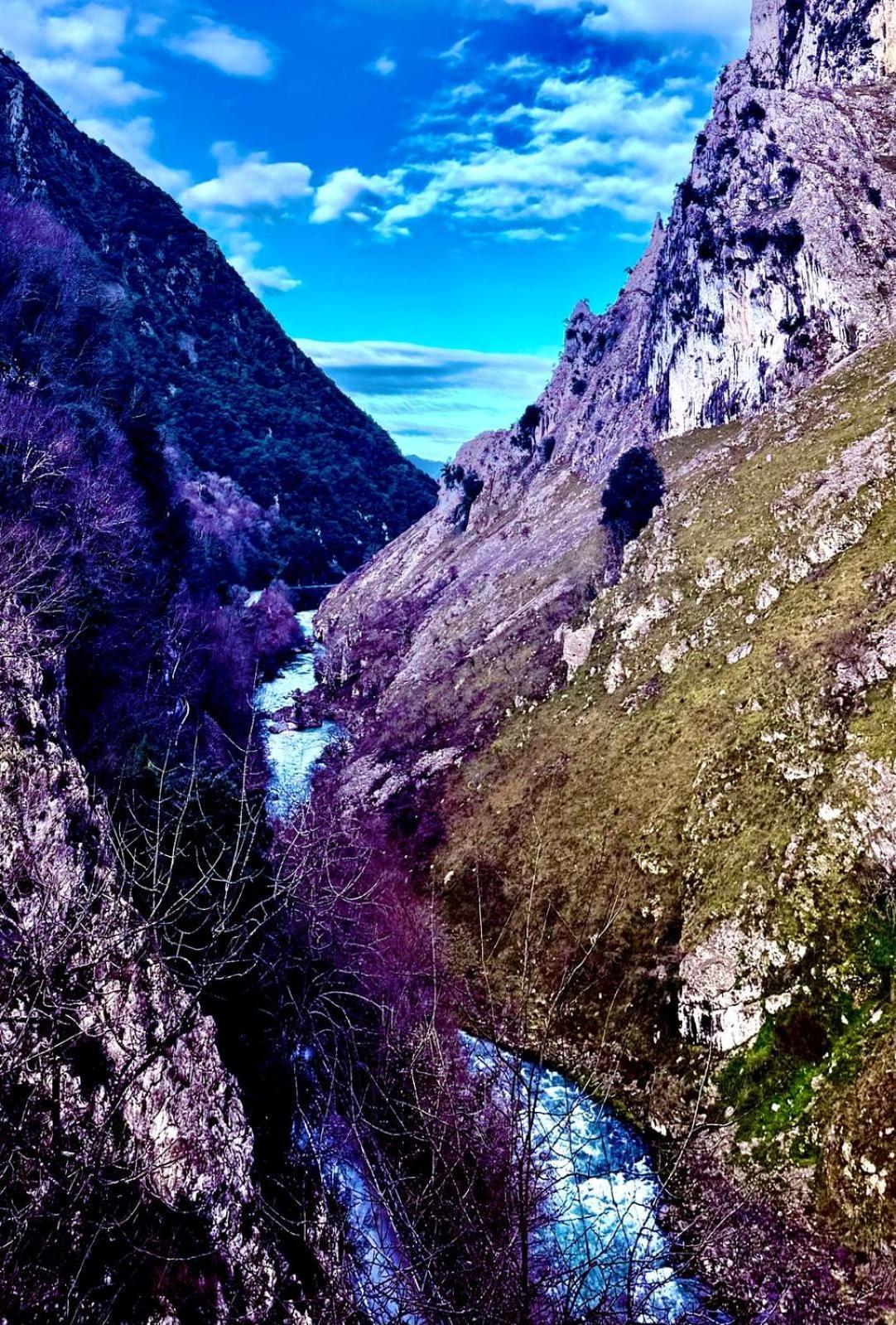 Apartamentos El Caxigu Arenas De Cabrales Esterno foto